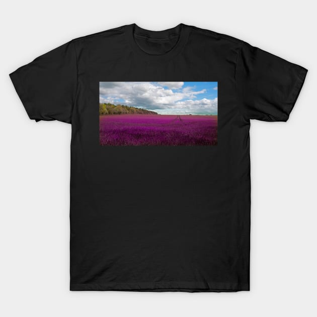 Lavender field in The Cotswolds T-Shirt by Graz-Photos